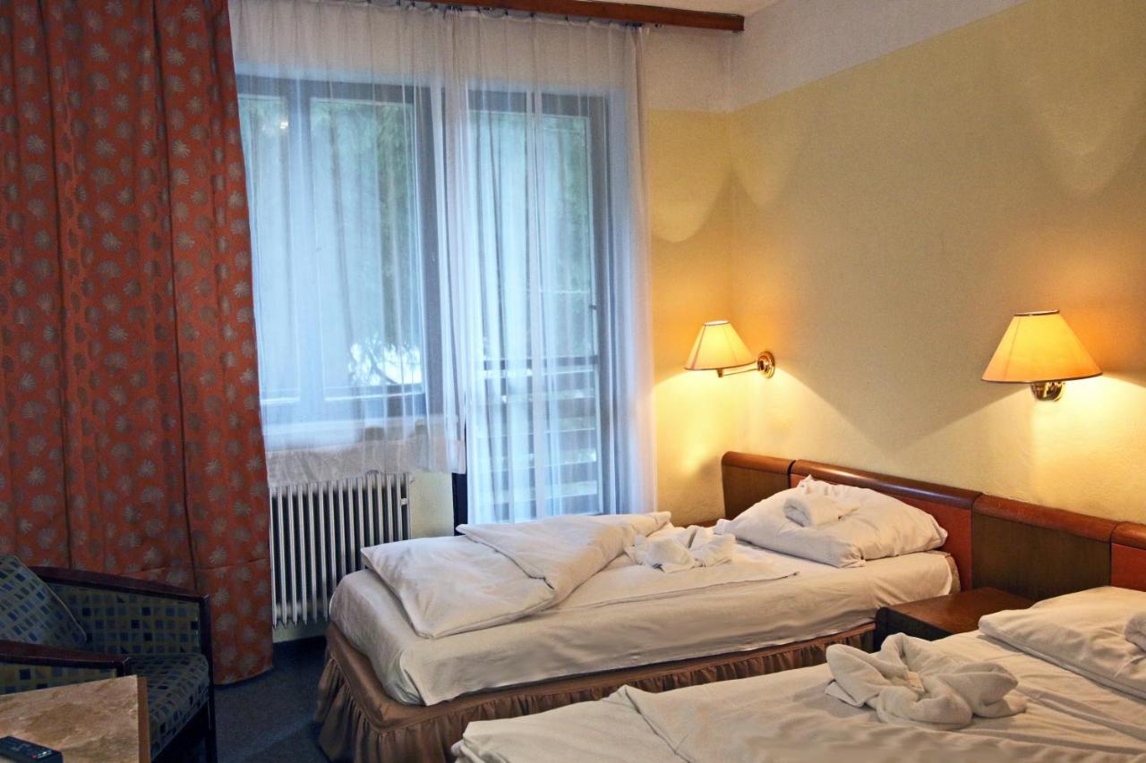 Hotel Medlov Depandance Fryšava Exterior foto